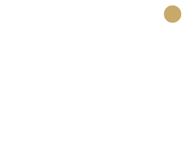 PVIMC — Pivotal Vision